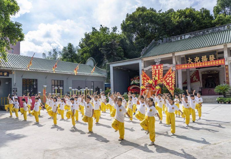 散打培训：在激流中学习生存的艺术